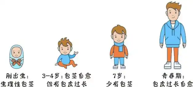 包茎|手术|包皮过长_网易订阅