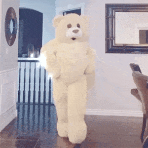 50个跳舞熊表情包合集,这也太可爱了叭~(内附奥特曼封面)_soogif