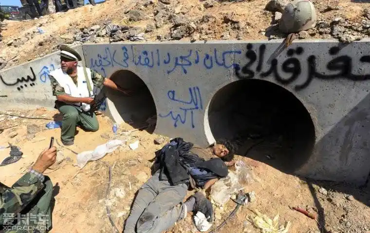 > 菲菲走了,真走了