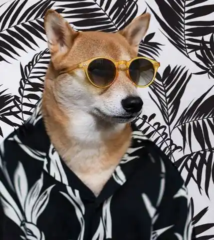 【日式花衬 小方巾】【花衬 卫衣 飞行员墨镜】清新盐系盐系来源于