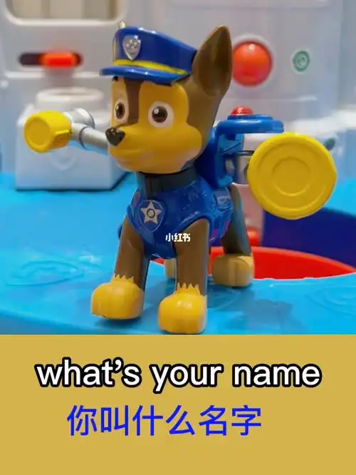 汪汪队立大功英语启蒙狗狗的名字和年龄