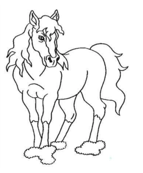 简笔画可以飞的马