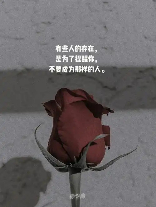 句子迷奋斗有时是苟且的一种包装