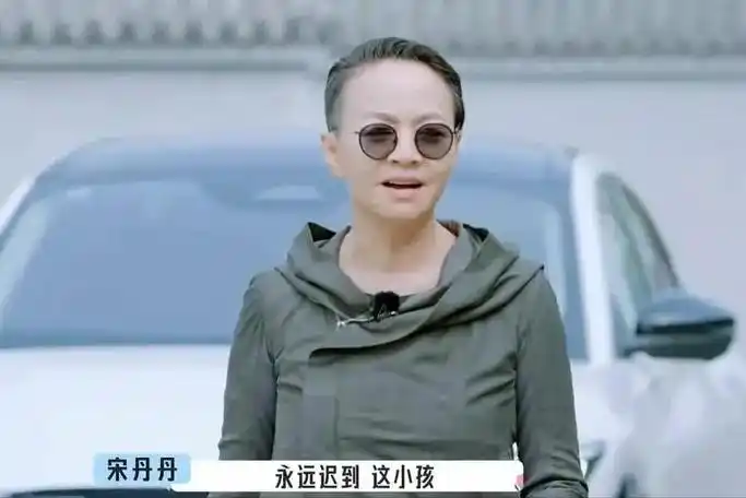 原创62岁宋丹丹近照大变样头发稀疏唇色苍白与当初的白云大相径庭