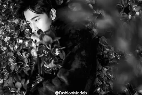 杨洋- 堆糖,美图壁纸兴趣社区