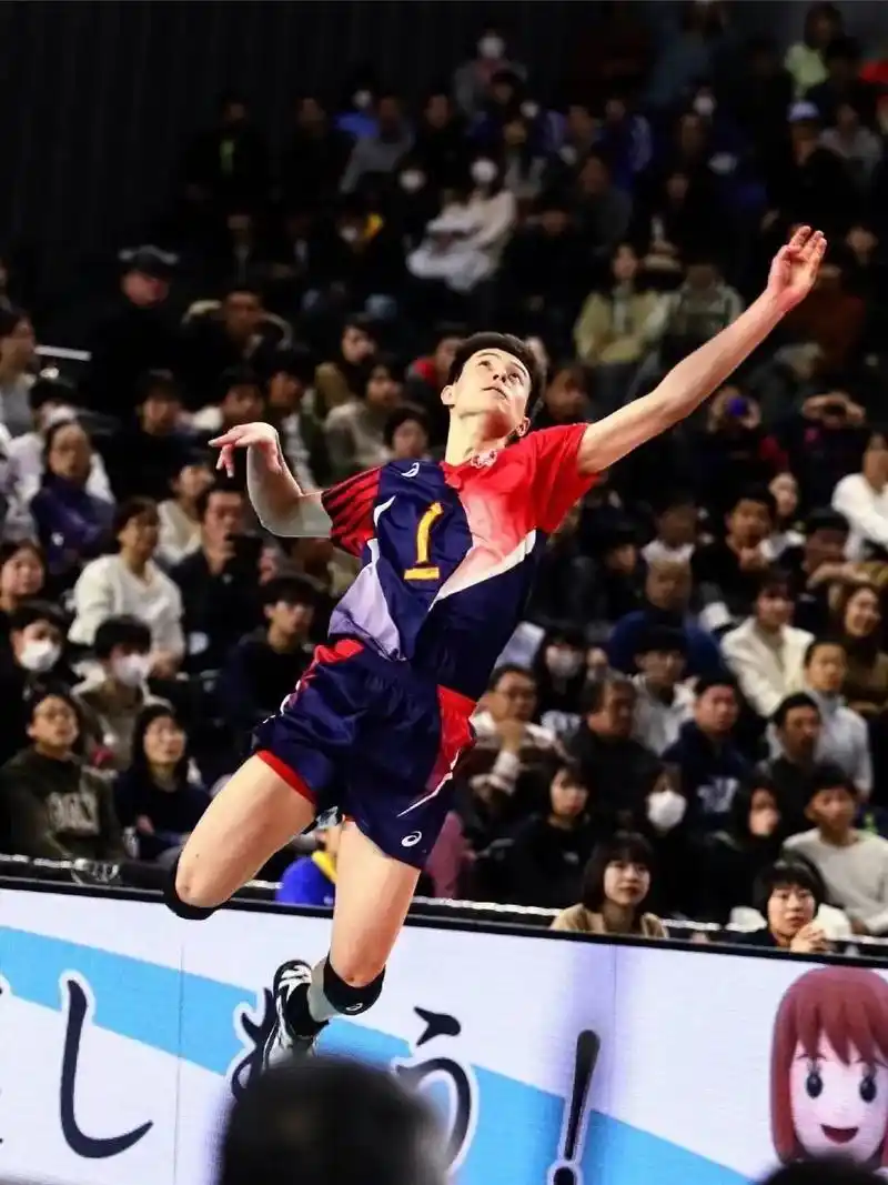 高桥蓝的成长史.