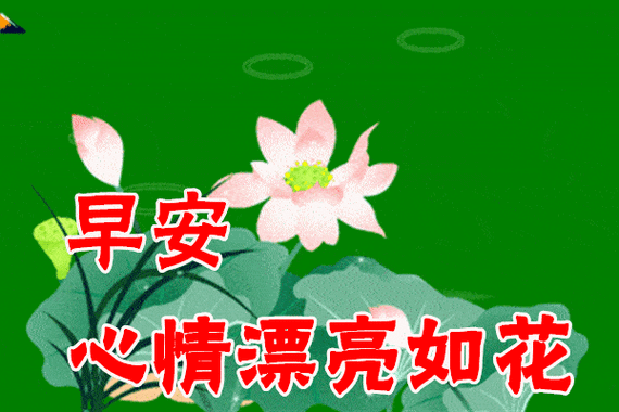 1月18日最漂亮早上好动态表情图片大全