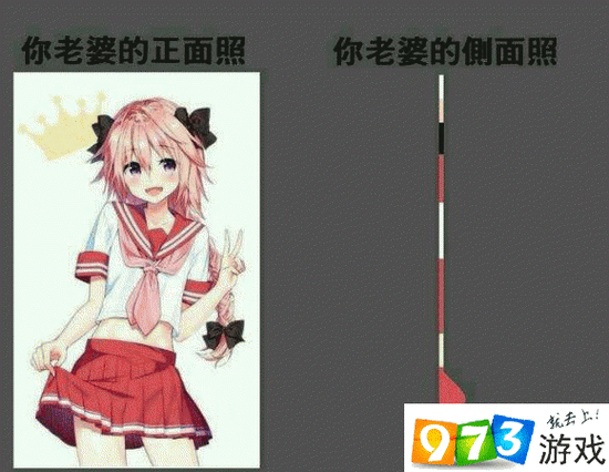 你老婆正面照侧面照表情包分享纸片人老婆表情包大全