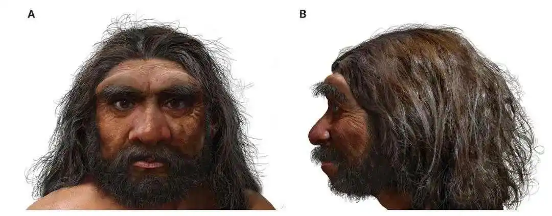 龙人复原图 图/赵闯绘,the innovation提供