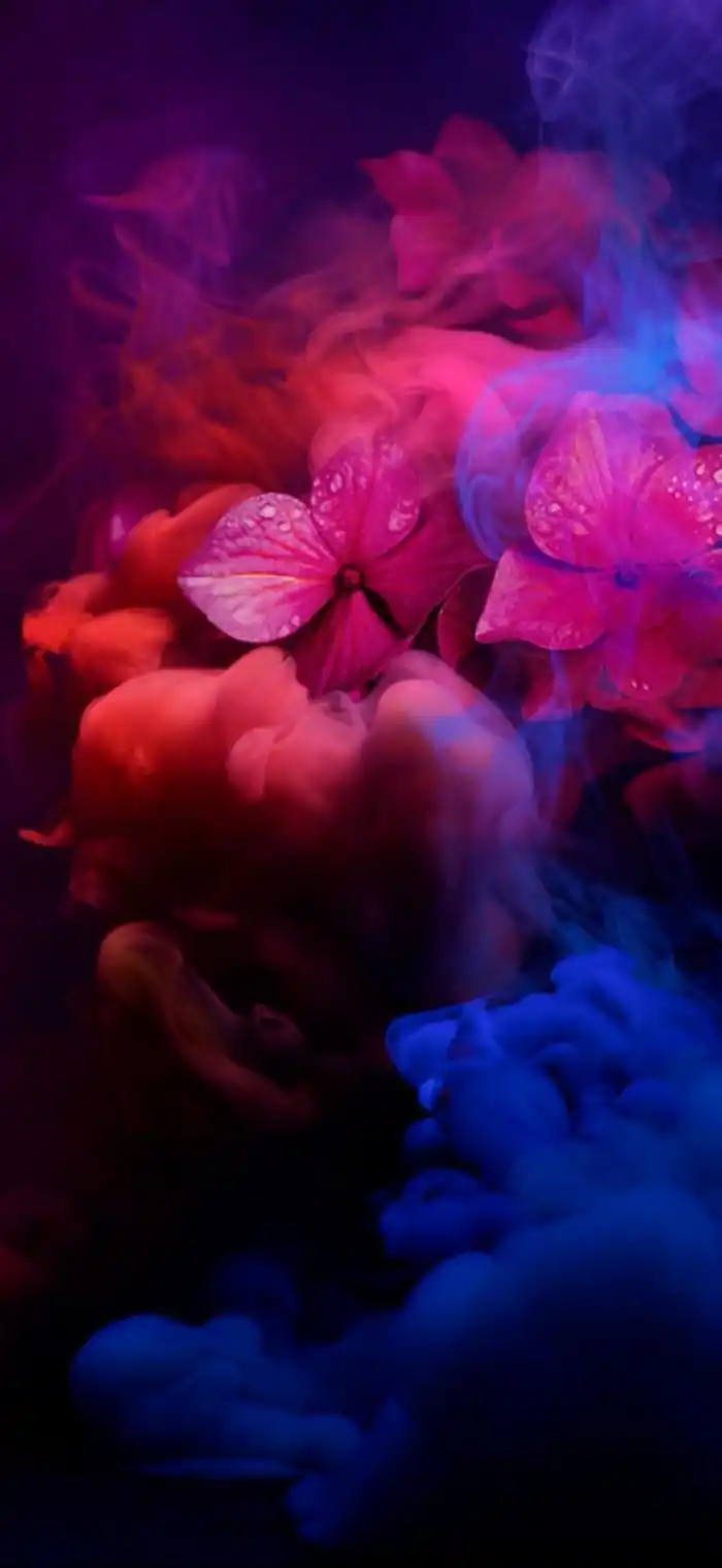 华为mate20rs保时捷版壁纸下载高端大气