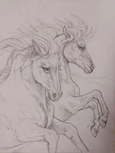 这绝对是我见过的最英俊潇洒的马了!素描太酷了!