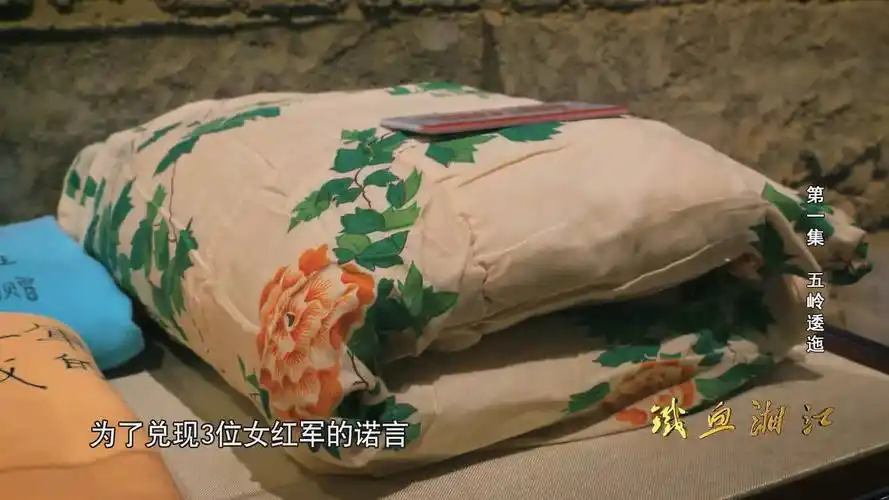 2019-12-18 来自 微博视频号