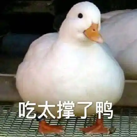 小鸭子表情包今天也要开心鸭今天也要爱我鸭