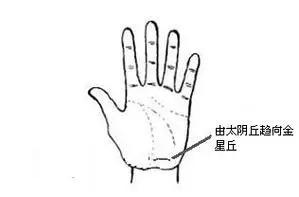 由手相看你是否生活健康