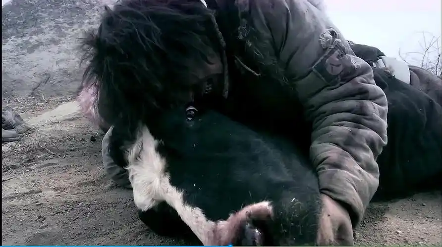 闫妮黄渤搞笑主演电影斗牛,鬼子土匪山头对射,渤哥反应感动了!