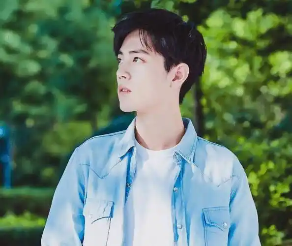 肖战的粉丝太有才!