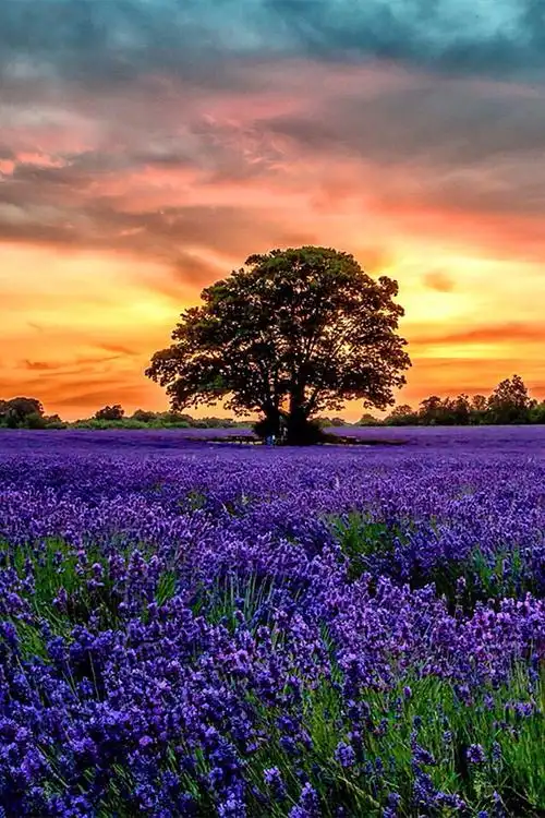 写说说用的,跪求,有人物的也可以,不过要唯美_百度知道