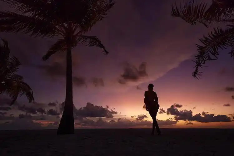 夕阳下无忧无虑的女人在沙滩上散步的背影.图片下载